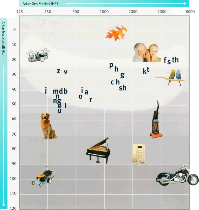 İşitme zorluklarıyla nerelerde karşılaşırsınız?